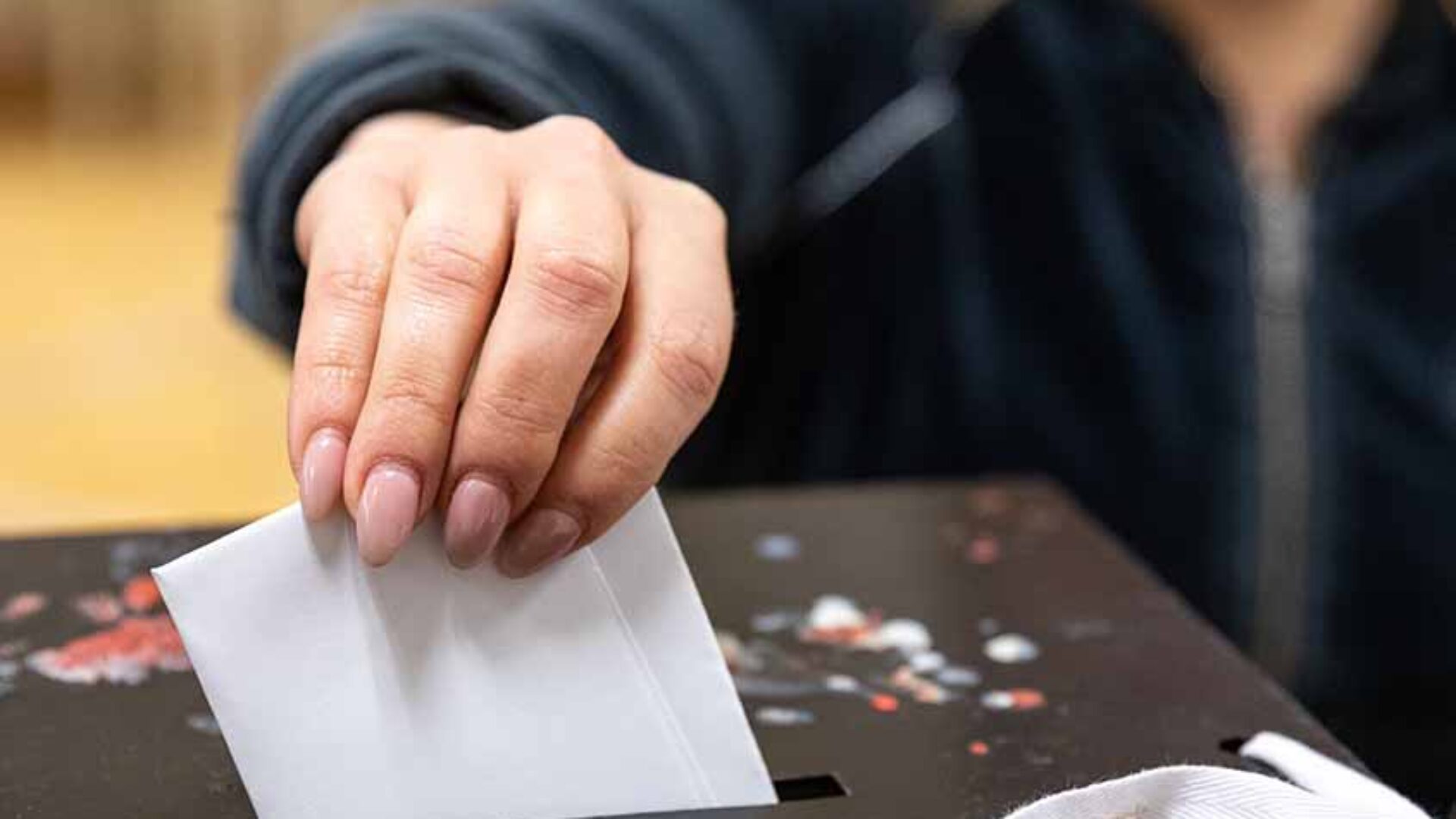 Presidenciais: Deputados socialistas admitem “ajustamentos” na votação dos emigrantes